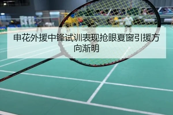 申花外援中锋试训表现抢眼夏窗引援方向渐明